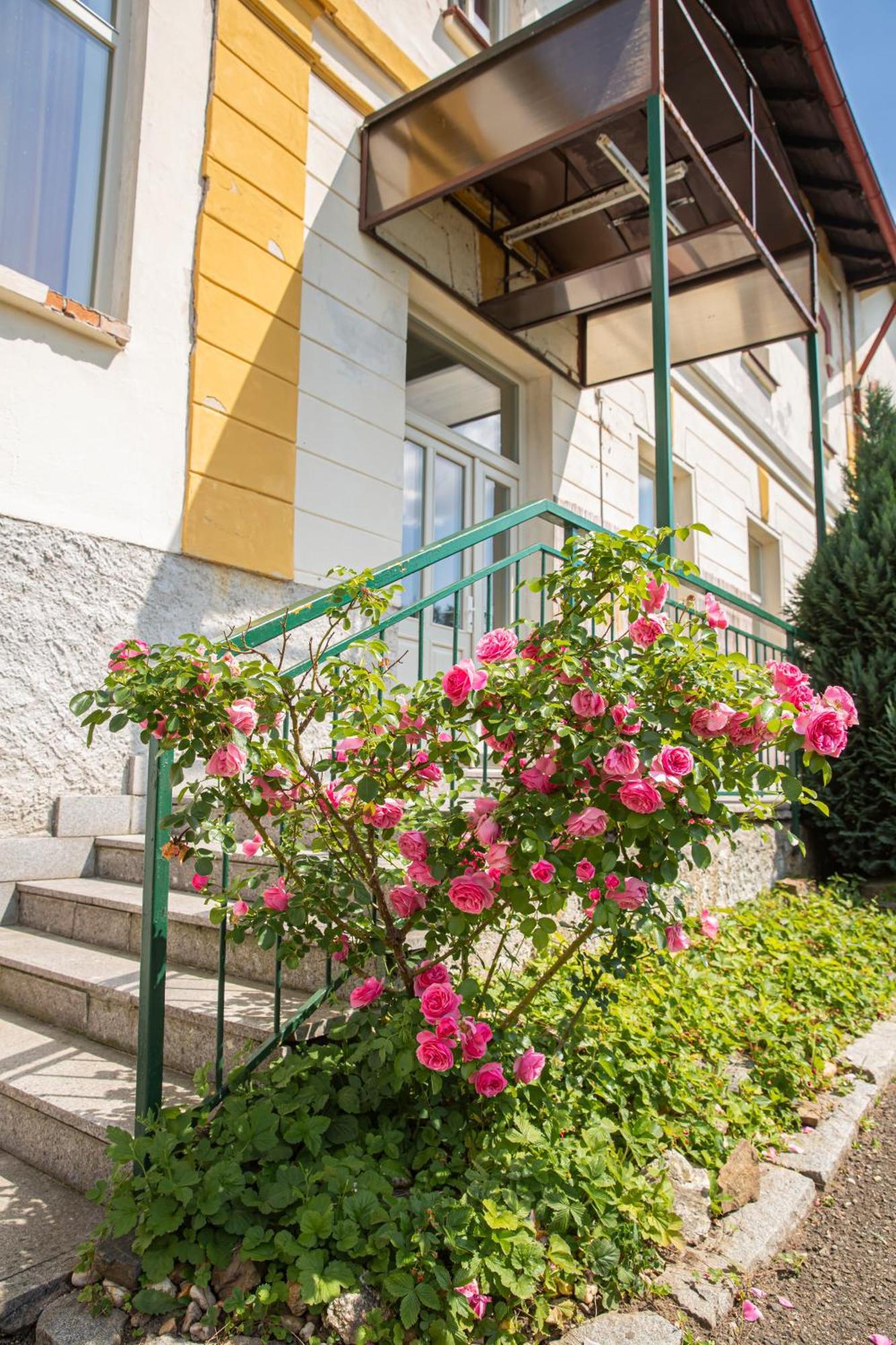 Pension V Parku Cesky Sternberk Exterior foto